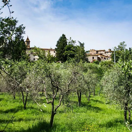 Tuscan Retreat * Orciatico